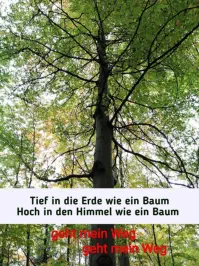 Erde und himmel und Baum