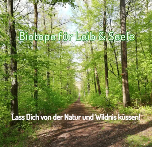 Lass dich von der Natur und Wildnis Küssen