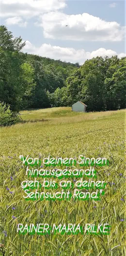 Sinne und Sehnsucht